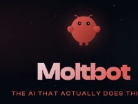 '지금 아니면 못 사' 맥미니 쓸어가는 사람들…