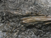 1500년 전 백제 '횡적', 왕궁 화장실서 발견…국악기 '소금' 원형 찾아(종합)