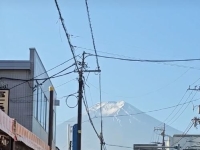 버킷리스트서 지우세요…