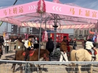 '5분에 6300원' 인기 폭발…살아있는 말로 만든 '회전목마' 학대 논란