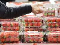 '한 상자에 3만원' 마트 가서 큰맘 먹고 샀다…8주 먹자 나타난 몸의 변화