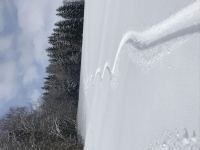 일본까지 가서 웬 민폐…韓 20대, 정규코스 밖에서 보드 타다 조난