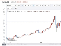 금값, 급락 후 5000달러에서 주춤…"조정 후 오름세 보일 것"