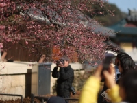 [내일날씨]설 연휴 둘째 날도 포근…서쪽지역 짙은안개 주의