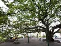 휴게소 가서 화장실만?…차 세우게 만드는 이유가 있네[디깅 트래블]