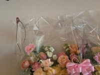 신동빈 롯데 회장, '첫 金' 최가온에 축하선물···