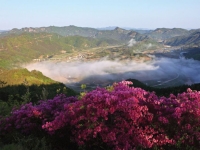 '1인당 80만원' 지원금 푼다…소득·자산 관계 없이 지급한다는 '이곳'