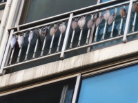 아파트가 건어물 가게? 베란다 난간에 생선 '주렁주렁'에 이웃들 고통 호소