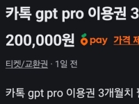 '2.9만원에 사서 3개월치 20만원에 팔아요'…되팔이 난리에 카카오 "그렇게는 다 안돼"