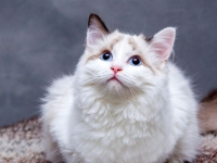 밤마다 누워 히죽히죽 