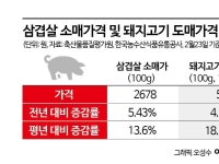 880원 삼겹살 떴다…삼삼데이 앞둔 유통가 '100원 전쟁' 서막