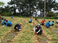 등록금 벌러 제주 농가 왔다가 '날벼락'…외국인 유학생 33명 제적 위기