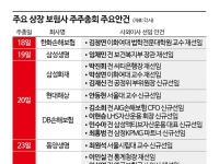 보험사 주총 시즌 돌입…이사회 재편·상법 개정 대응 '속도'