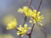 전국 곳곳에 눈비…강원 최대 20㎝ 눈