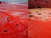 "지구 종말 신호?"…하늘에서 갑자기 쏟아진 '붉은 비' 정체