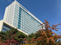 "정부에 아들 비자금 있어"…지인 60억원 가로챈 부부 2심서 가중처벌