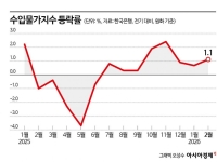 수입 물가 8개월째 상승…"美·이란 전쟁 반영 안 돼, 3월에도 오를 것"