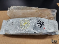 '도대체 얼마나 퍼졌나' 제주서 벌써 19번째 발견…"즉시 신고하세요"