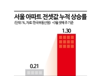 서울 전세 빙하기…전셋값 뛰는데 노원·중랑 매물 60% 실종[부동산AtoZ]