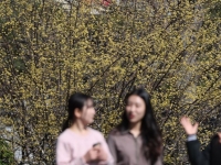 [내일날씨] 전국 낮밤 기온차 15~20도