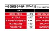 중동전쟁에 '안전자산' 희비…금ETF 지고 달러ETF 뜨고