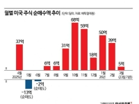 서학개미 돌아오나…美 주식 순매수 연초 대비 10분의 1로 줄었다