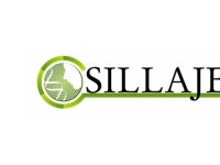 항암 바이러스 '정맥 투여' 난제 풀었다…신라젠 SJ-650, 글로벌 게임체인저 예고