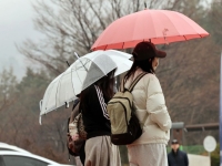 [날씨]월요일 전국 흐리고 봄비…미세먼지 주의