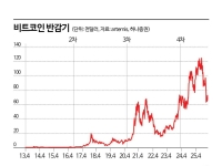 [비트코인 지금]'지지부진' 비트코인, 하반기엔 반등?