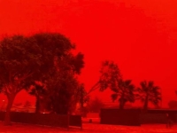 "필터 낀 줄…종말 온 것 같다" 새빨갛게 물든 호주 하늘, 무슨 일