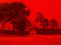 "필터 낀 줄…종말 온 것 같다" 새빨갛게 물든 호주 하늘, 무슨 일