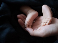 함께 버텨낸 계절은 ‘가족’이란 꽃을 피웠다