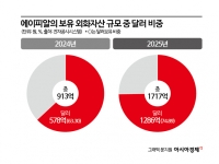 '강달러' 베팅한 에이피알…재무 전략 통했다