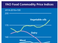 '중동 위기'에 세계 식량가격 2.4% 상승…유지류·설탕 급등