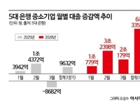 [금융현미경]1분기에만 중기대출 6.3조원 늘어…생산적 금융 경쟁 '과열'
