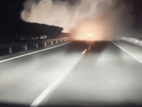 "자율주행이 살렸다"…연기로 시야 가렸는데도 사고 회피