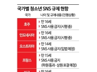 [청소년 SNS 전쟁]창과 방패의 싸움, 손 놓은 정부…국회 계류 관련법만 7개