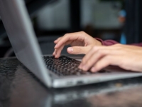 '부르는 게 값' 이젠 없어서 못 팔아요…이미 80% 올랐는데 가격 또 50% 뛴다