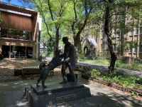 "아직도 시부야에서 주인을 기다립니다"