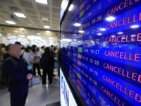 제주 '물폭탄'에 항공기 246편 결항…탐방객 고립 사고도
