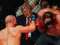 美-이란 종전 협상 결렬 순간, 트럼프는 UFC 경기 보고 있었다