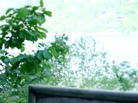 "절대 가지마, 살아서 못 나온다" 경고에도 인산인해…충남 예산에 무슨 일이