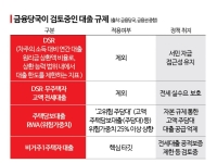 [단독]DSR 추가 규제서 서민대출 뺀다…1억 이하 대출·무주택자 전세대출 제외