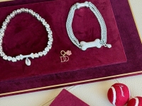 "개팔자 상팔자라더니" 반려견 목걸이가 2억원…아낌없이 지갑여는 美부유층