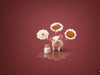 식재료인 척하면 '돼지'