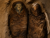 로마시대 미라 뱃속에서 이게 나왔다고?