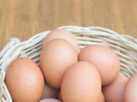 "'이것' 먹고 살 찌는 건 불가능"…의사가 극찬한 '천연 위고비'