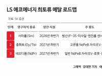 中막혔을 때 노젓자…LS에코에너지, 희토류·HVDC 동시 가동