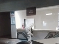 "당당하게 들어와 손님인줄" 아프리카 호텔에 나타난 식인 악어