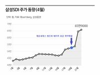 벤츠가 택한 삼성SDI 배터리, 수혜주 더 있다 [주末머니]